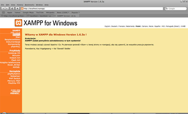Wygląd strony głównej po instalacji - XAMPP.